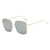 Gray Tint Square Metal Glasses