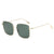 Olive Tint Square Metal Glasses